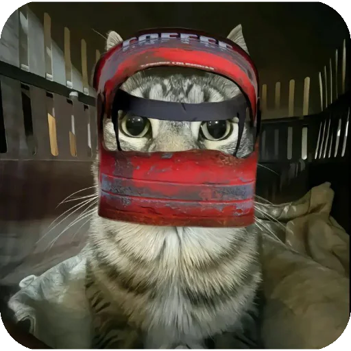 ⛑ Стикер «Сидим не рыпаемся» для Telegram