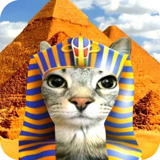 🐱 Стикер «Сидим не рыпаемся» для Telegram