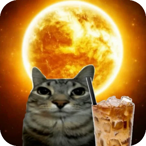 🐱 Стикер «Сидим не рыпаемся» для Telegram