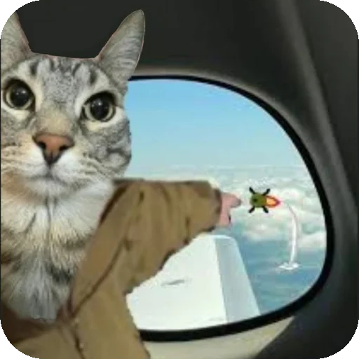 🐱 Стикер «Сидим не рыпаемся» для Telegram