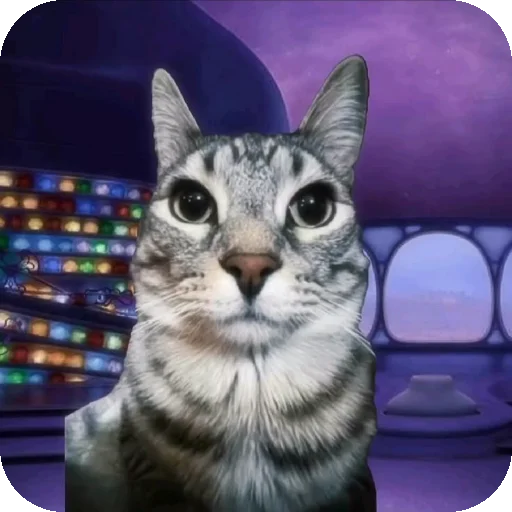 🐱 Стикер «Сидим не рыпаемся» для Telegram