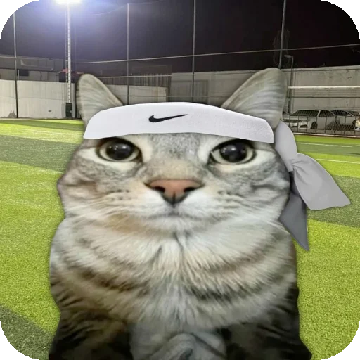 🐱 Стикер «Сидим не рыпаемся» для Telegram