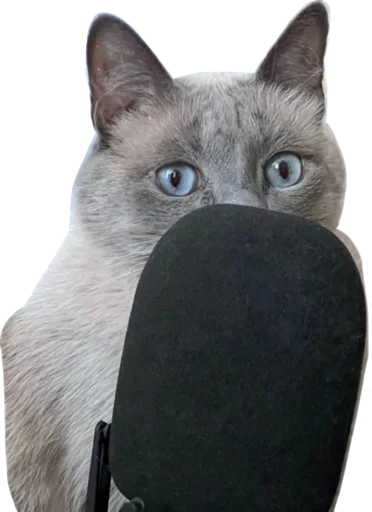 🎙️ Стикер «Sidkozel» для Telegram