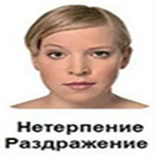 🤨 Стикер «sigma faces» для Telegram