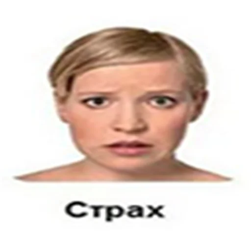 😨 Стикер «sigma faces» для Telegram