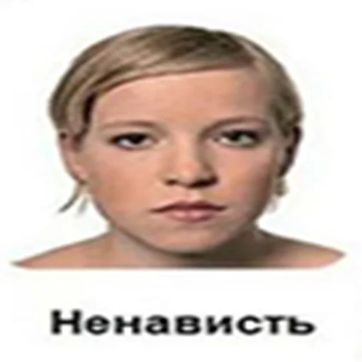 🤬 Стикер «sigma faces» для Telegram