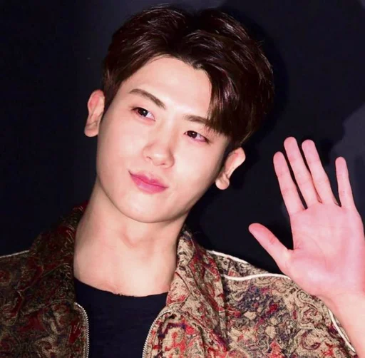 🕸 Стикер «hyungsik» для Telegram