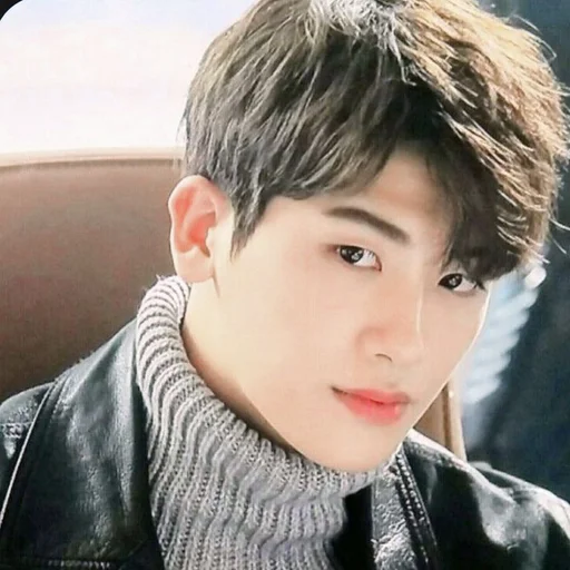 🕸 Стикер «hyungsik» для Telegram