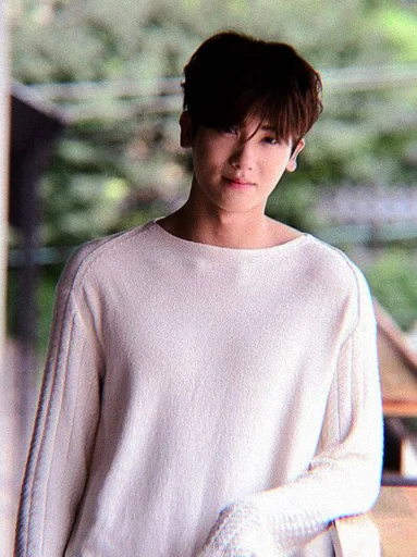 🕸 Стикер «hyungsik» для Telegram