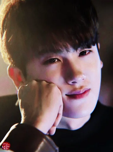 🕸 Стикер «hyungsik» для Telegram