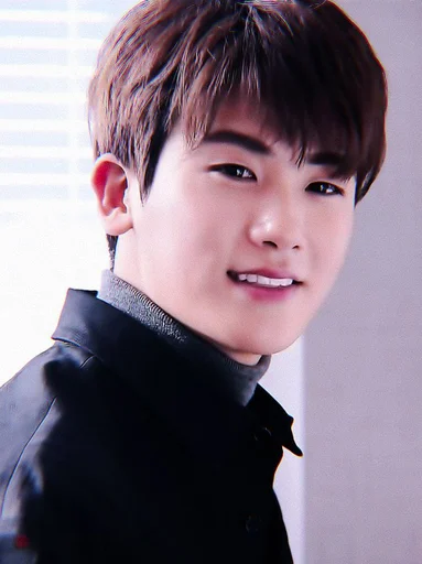 🕸 Стикер «hyungsik» для Telegram