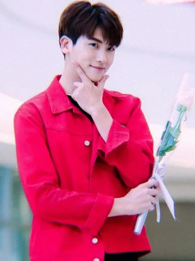 🕸 Стикер «hyungsik» для Telegram