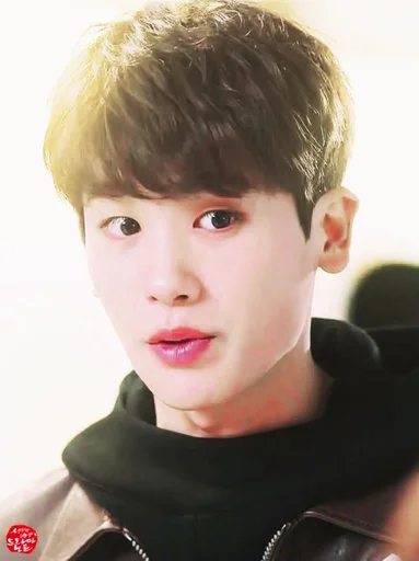 🕸 Стикер «hyungsik» для Telegram