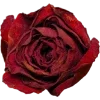 Стикерпак Silent Hill для Telegram
