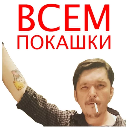 🙃 Стикер «Силиконовая Дура» для Telegram