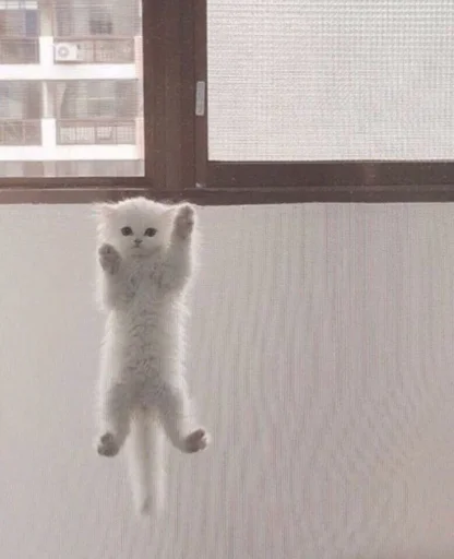 😛 Стикер «silly kitty» для Telegram