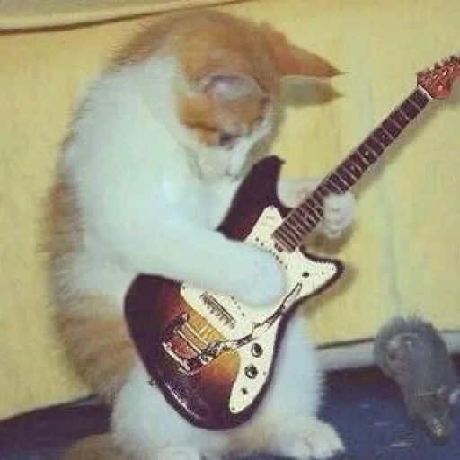 🤘 Стикер «silly kitty» для Telegram