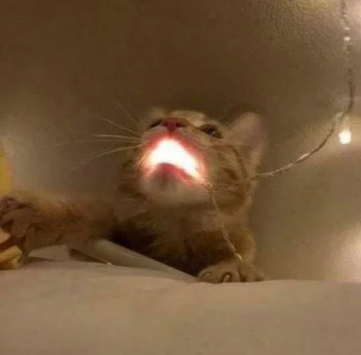 😫 Стикер «silly kitty» для Telegram
