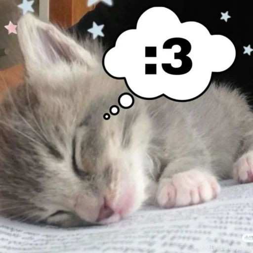 ⭐️ Стикер «манюни» для Telegram