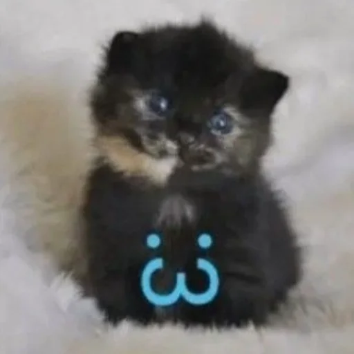 ⭐️ Стикер «манюни» для Telegram