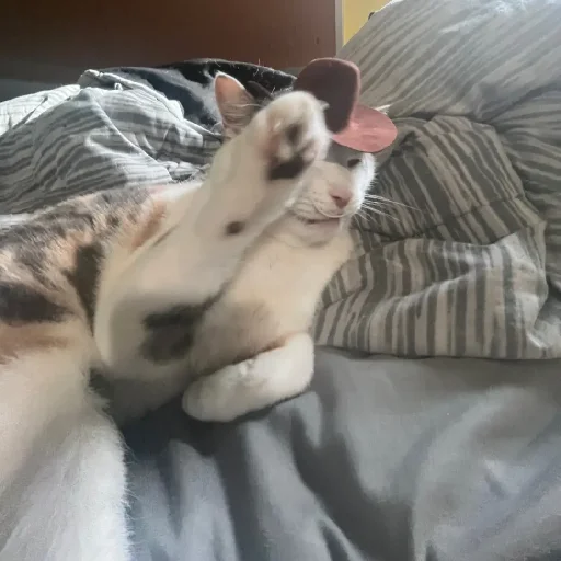 🫡 Стикер «Silly Milly» для Telegram