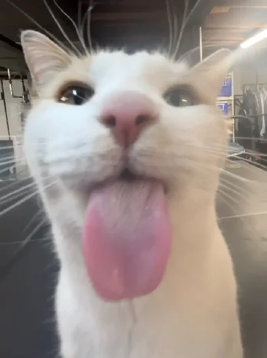 😛 Стикер «Silly Milly» для Telegram