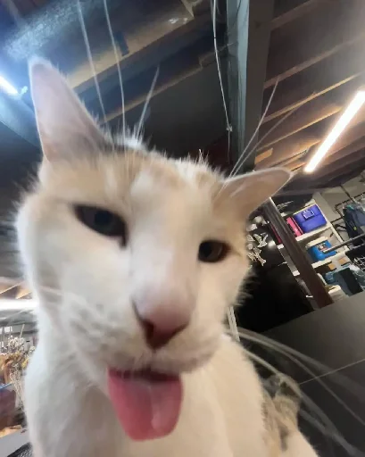 😛 Стикер «Silly Milly» для Telegram