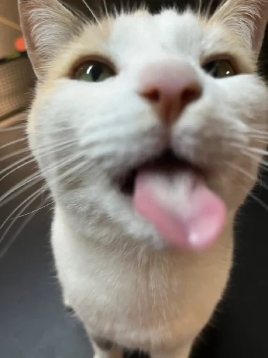 😛 Стикер «Silly Milly» для Telegram