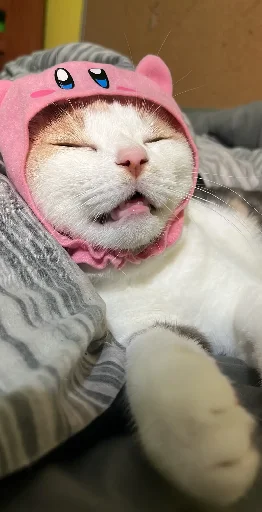 😴 Стикер «Silly Milly» для Telegram