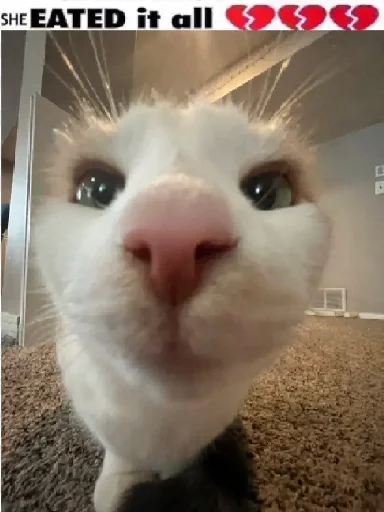 😐 Стикер «Silly Milly» для Telegram