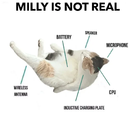 🥸 Стикер «Silly Milly» для Telegram