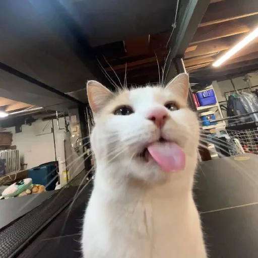 😛 Стикер «Silly Milly» для Telegram