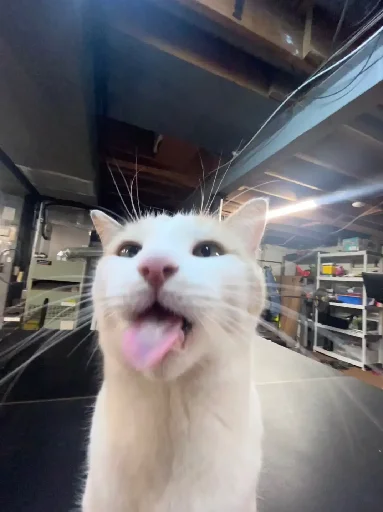 😛 Стикер «Silly Milly» для Telegram