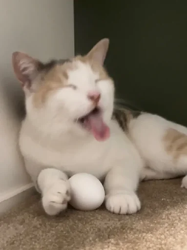🥚 Стикер «Silly Milly» для Telegram