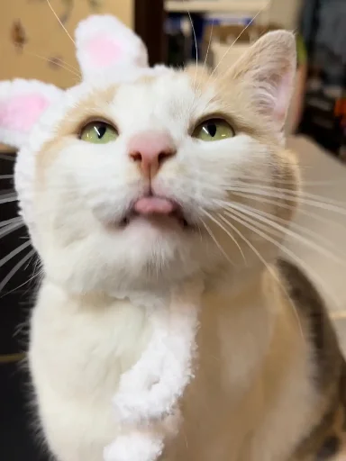 😛 Стикер «Silly Milly» для Telegram