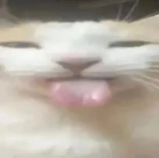 😛 Стикер «Silly Milly» для Telegram