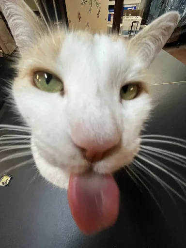 😛 Стикер «Silly Milly» для Telegram