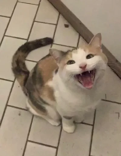😃 Стикер «Silly Milly» для Telegram