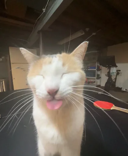 😛 Стикер «Silly Milly» для Telegram