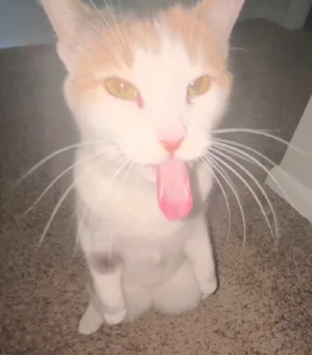 😛 Стикер «Silly Milly» для Telegram