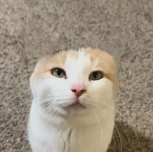 😐 Стикер «Silly Milly» для Telegram