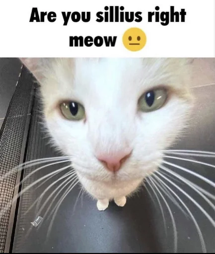 😐 Стикер «Silly Milly» для Telegram