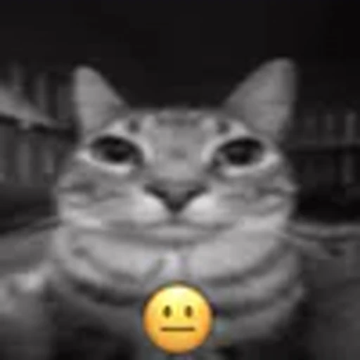 😐 Эмодзи «silly cats» для Telegram