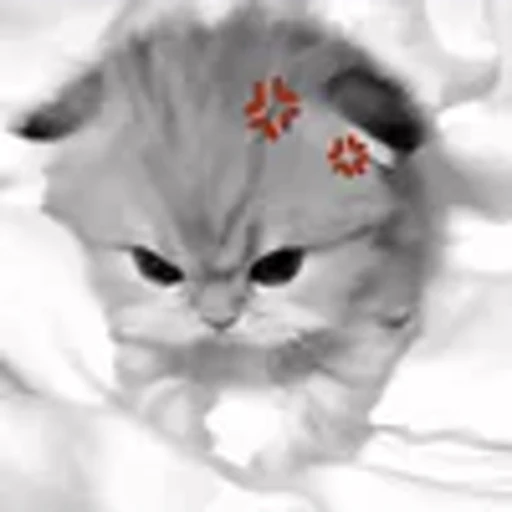 😡 Эмодзи «silly cats» для Telegram