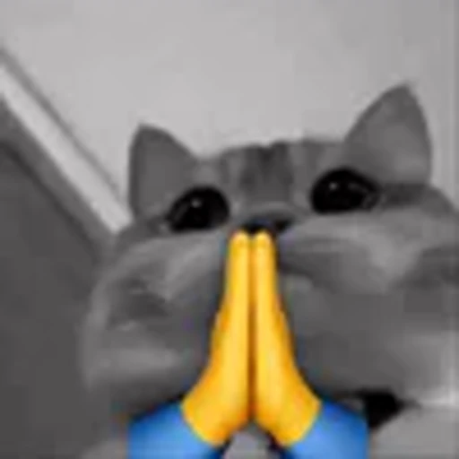 🙏 Эмодзи «silly cats» для Telegram