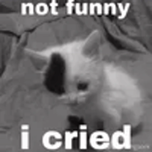 😭 Эмодзи «silly cats» для Telegram