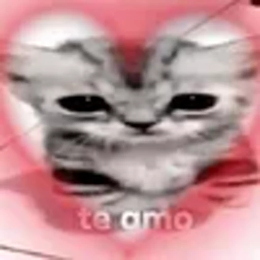 🥰 Эмодзи «silly cats» для Telegram