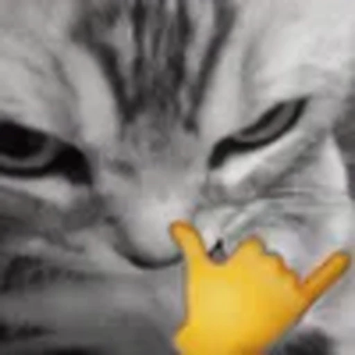 😎 Эмодзи «silly cats» для Telegram