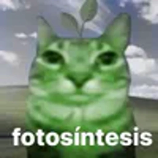 🤩 Эмодзи «silly cats» для Telegram