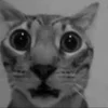 Стикер 44 Silly Cats